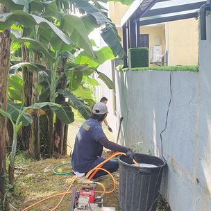 Pest Control Services Quezon City, MM