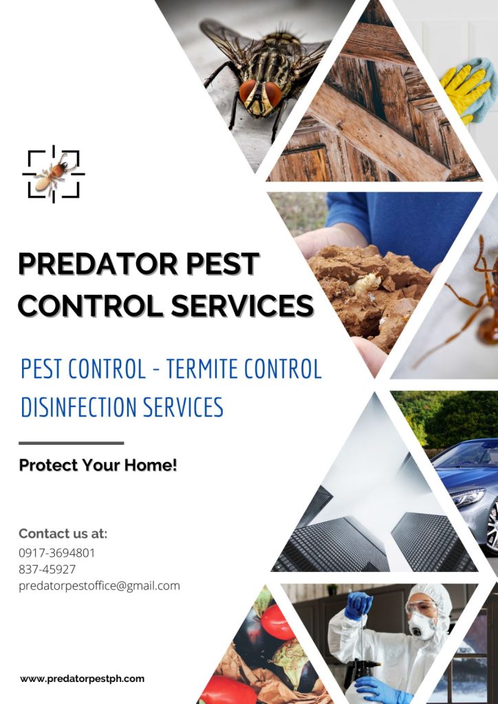 predator pest control services 109